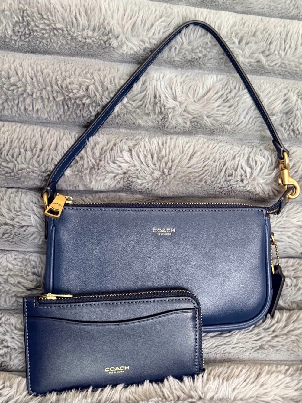 Coach Plaza 18 with Card case